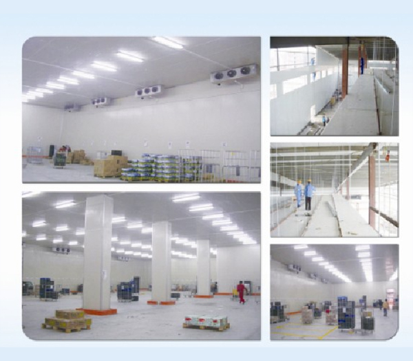 Thiết kế thi công và lắp đặt kho lạnh